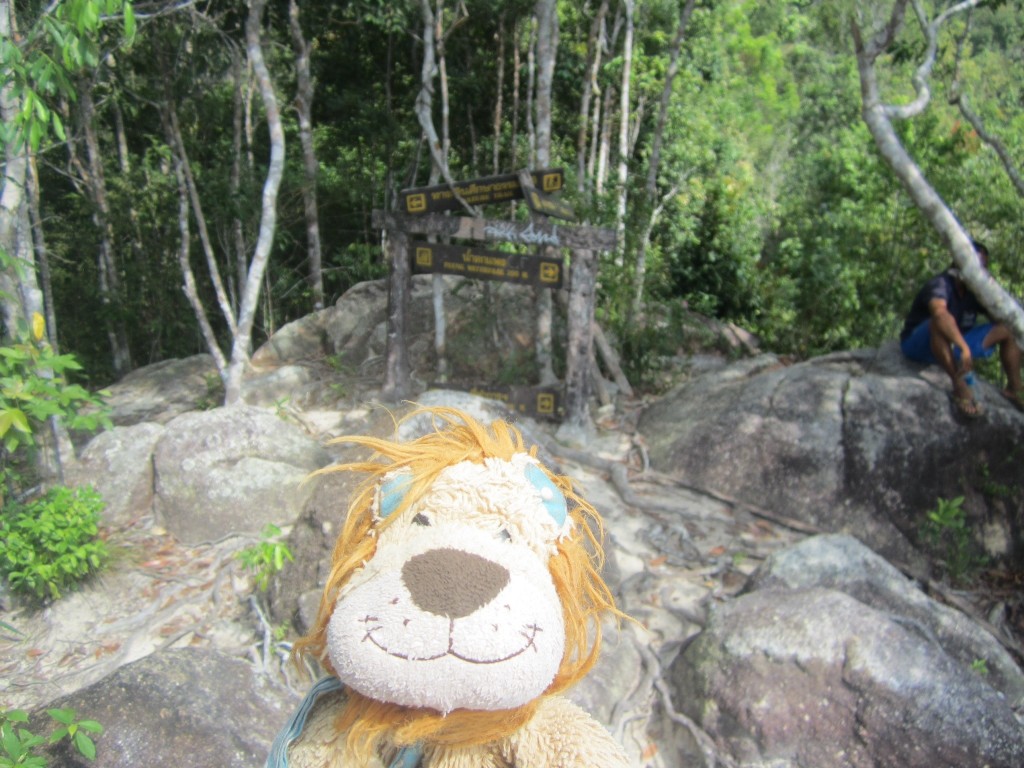 Lewis the Lion laughs as he watches the girls frolic in the waterfall