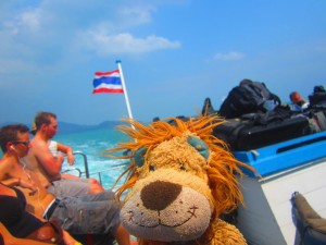 Lewis the Lion catches the ferry back to Koh Samui