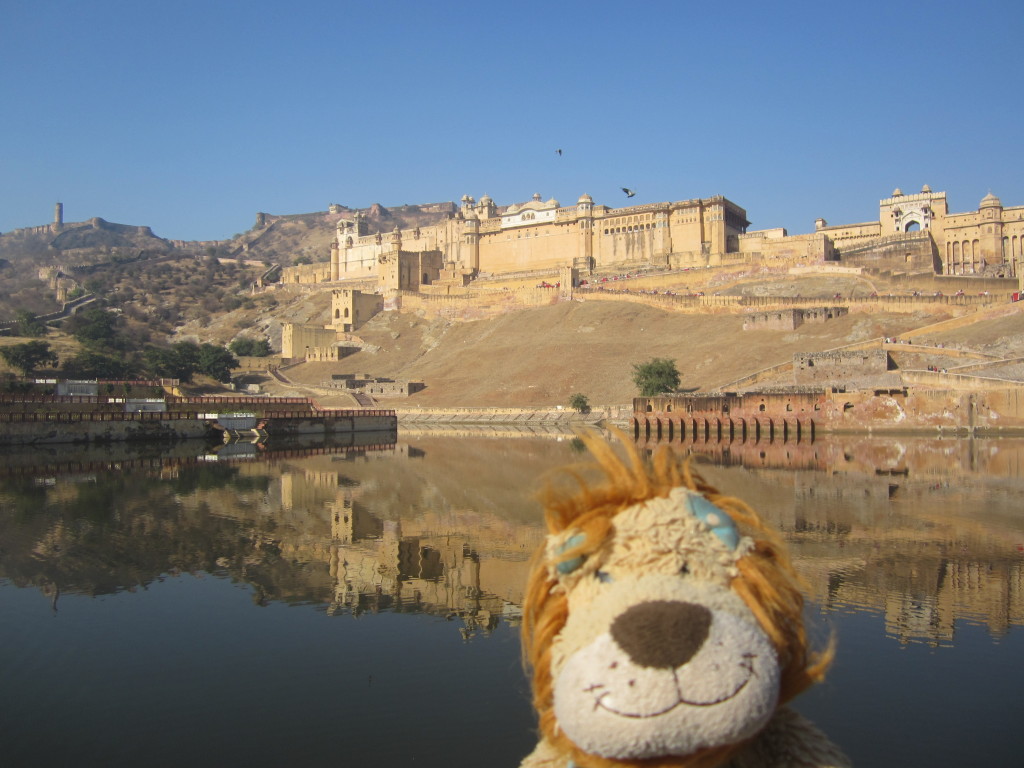 Lewis admires the view over the lake to the Amer Fort