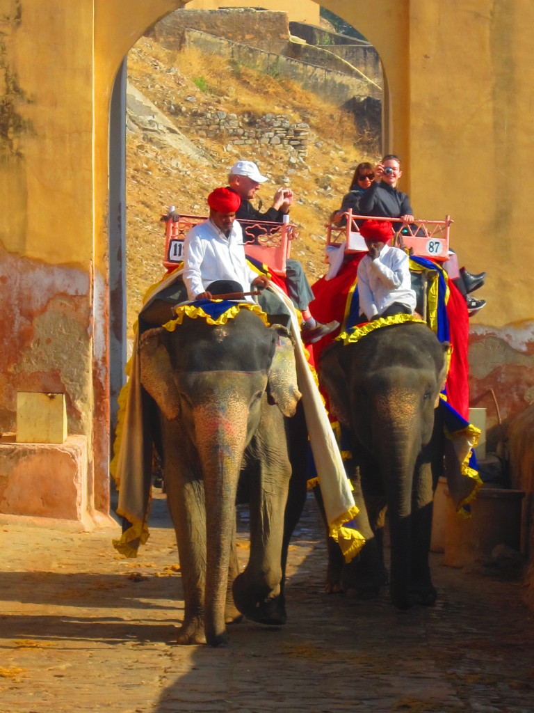 Elephant rides up to the Amer Fort