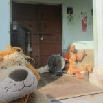 Lewis the Lion watches the woman at her spindle