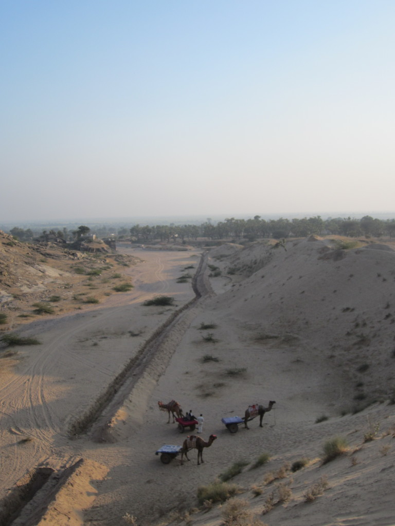 The camel carts wait while their passengers climb the sand dunes