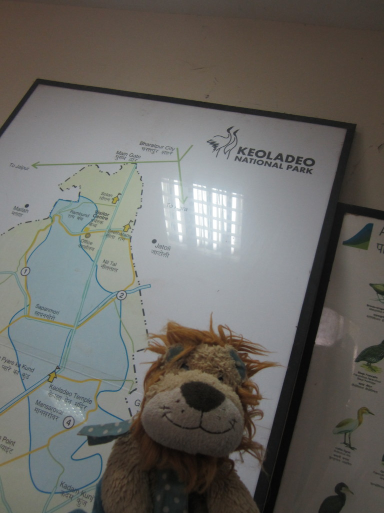 Lewis the Lion visits Keoladeo National Park