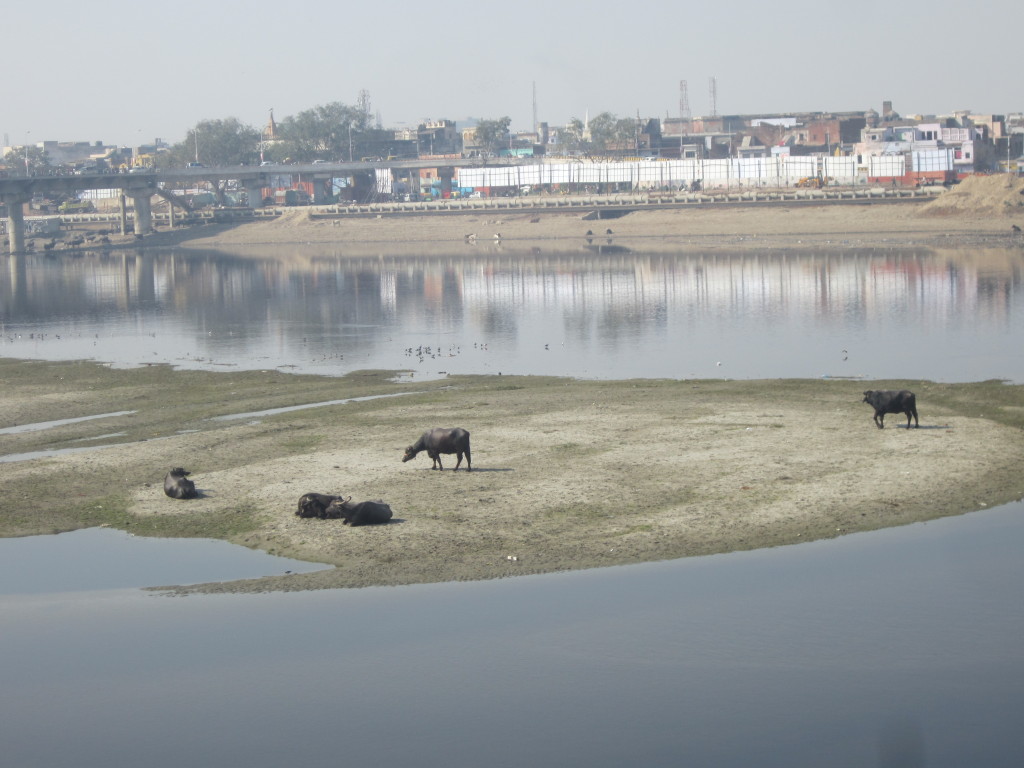 Looking onto the Yamuna River