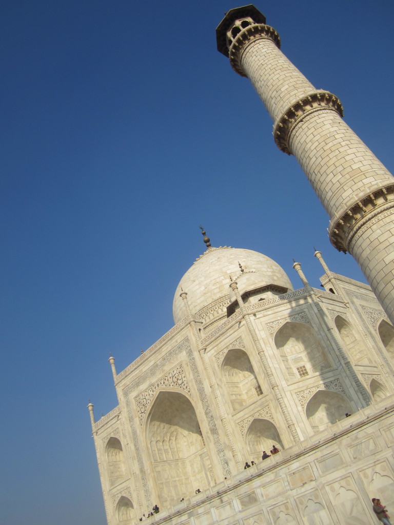 Lewis the Lion admires the Taj Mahal from below