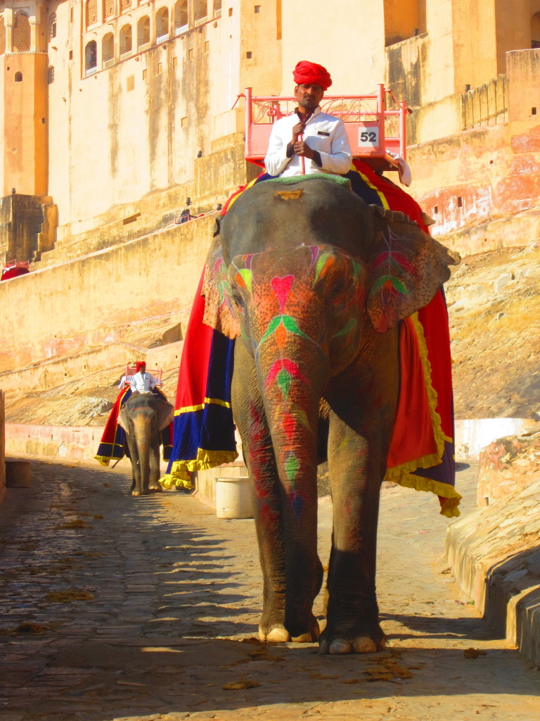 The elephants are painted in bright colours