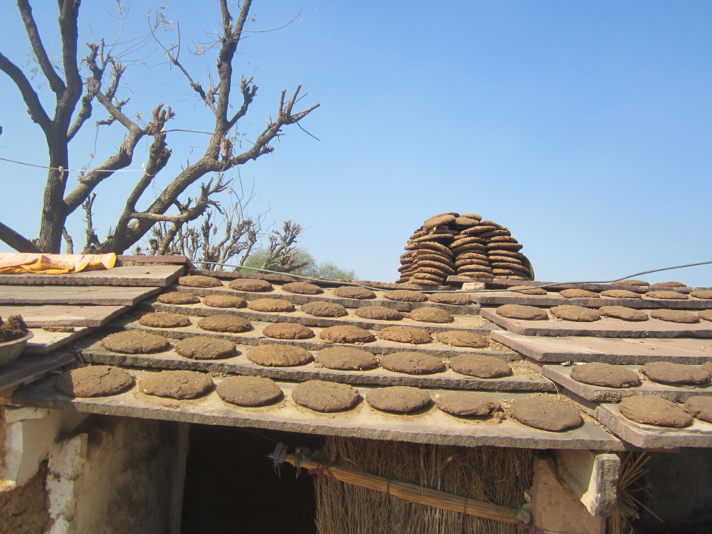 Cow dung insulates the roof