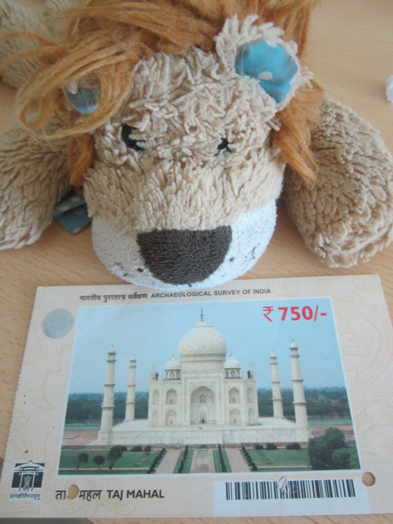 Lewis the Lion with his entrance ticket to the Taj Mahal