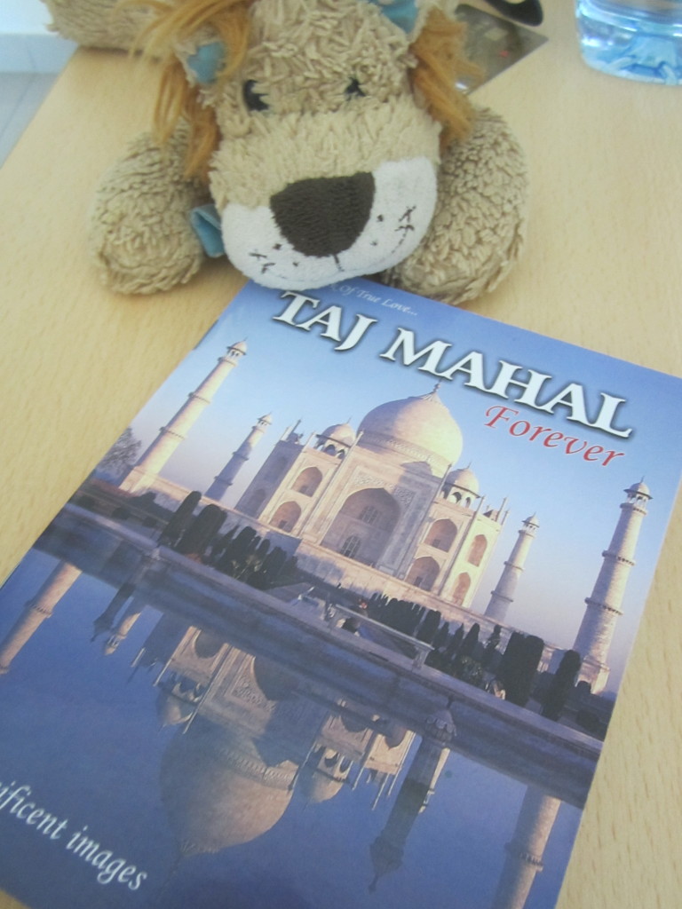 Lewis the Lion checks out his Taj Mahal postcard book