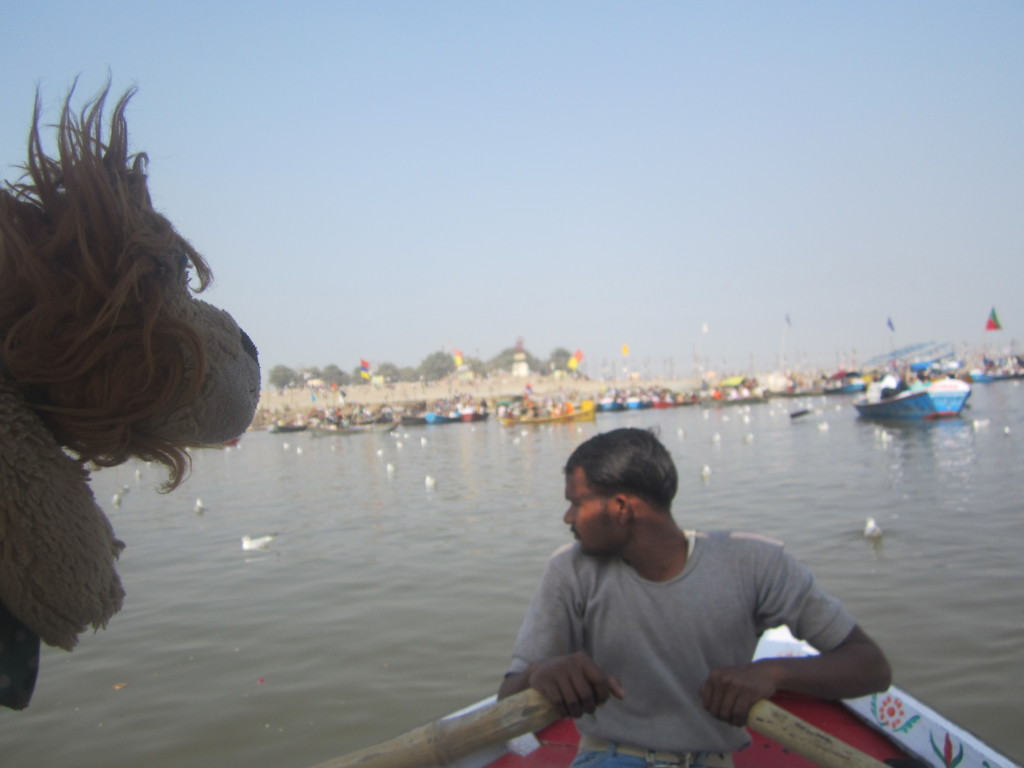 Lewis the Lion approaches the sandbanks of Allahabad