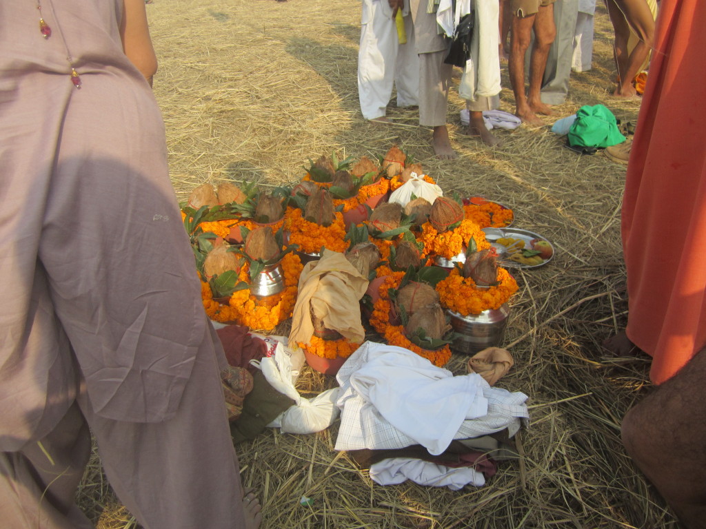 Offerings of coconut husks and carnation flowers