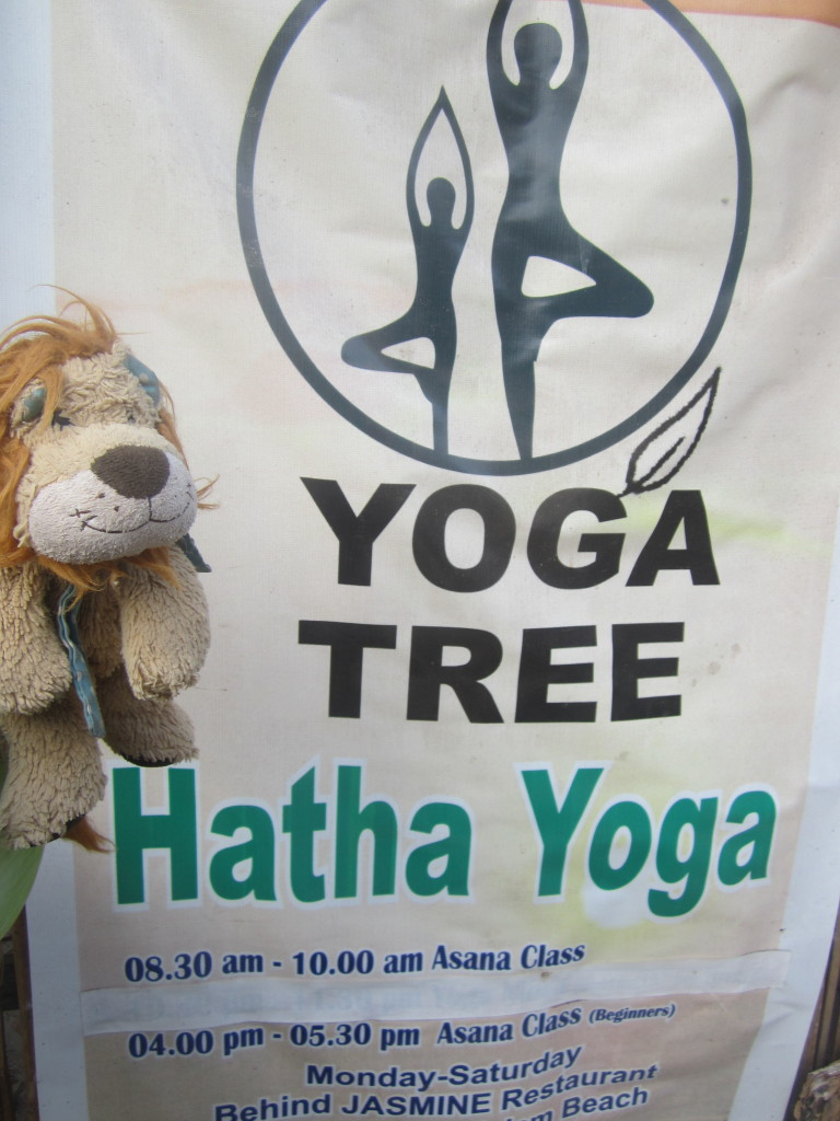 Lewis the Lion discovers Yoga in India