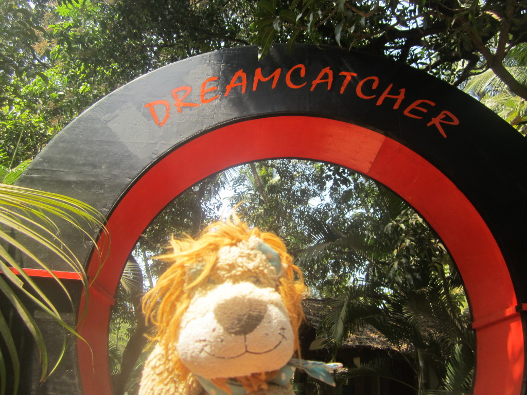 Lewis the Lion stays in the amazing Dreamcatcher resort