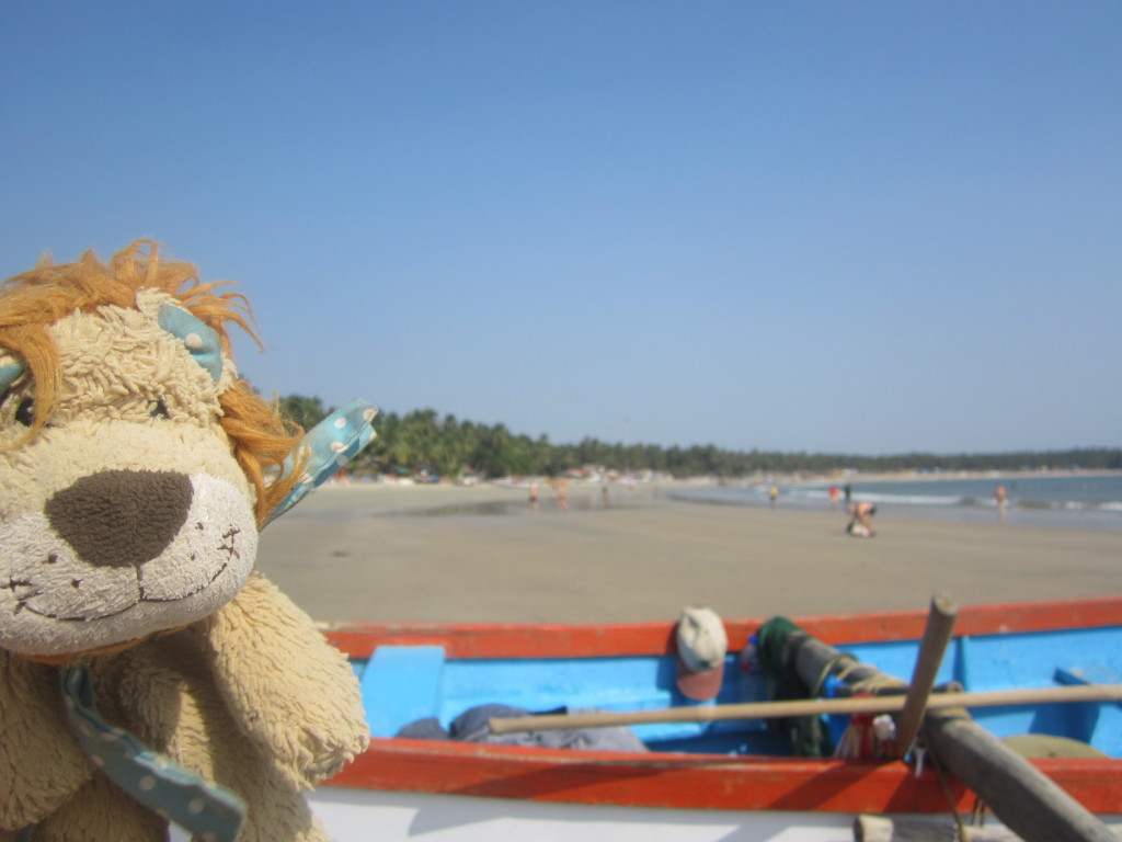 Lewis the Lion chills out for one last evening in Palolem