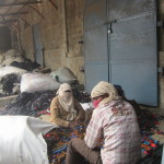 Workers sort out the cotton rags