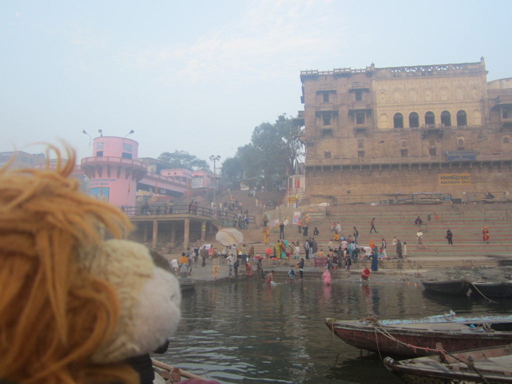Lewis the Lion watches as people take the holy dip